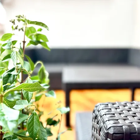 Cozee - Spacious With Netflix קייזרסלאוטרן