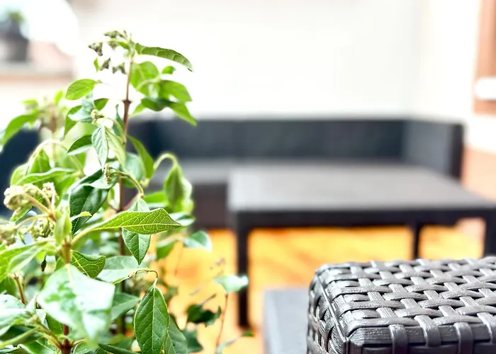 Cozee - Spacious With Netflix Kaiserslautern